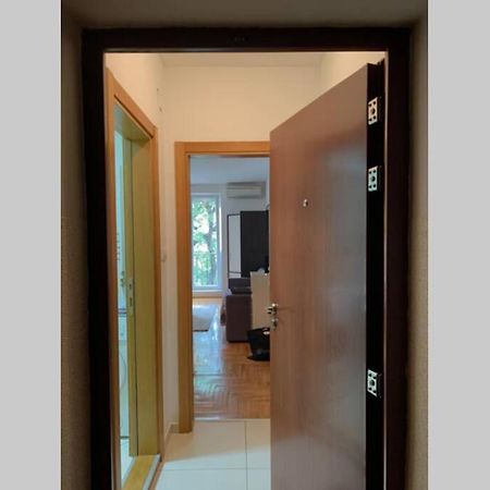 Renovated Cozy Studio 7 At Top Location - Available For Long Term Rentals Новий Сад Екстер'єр фото